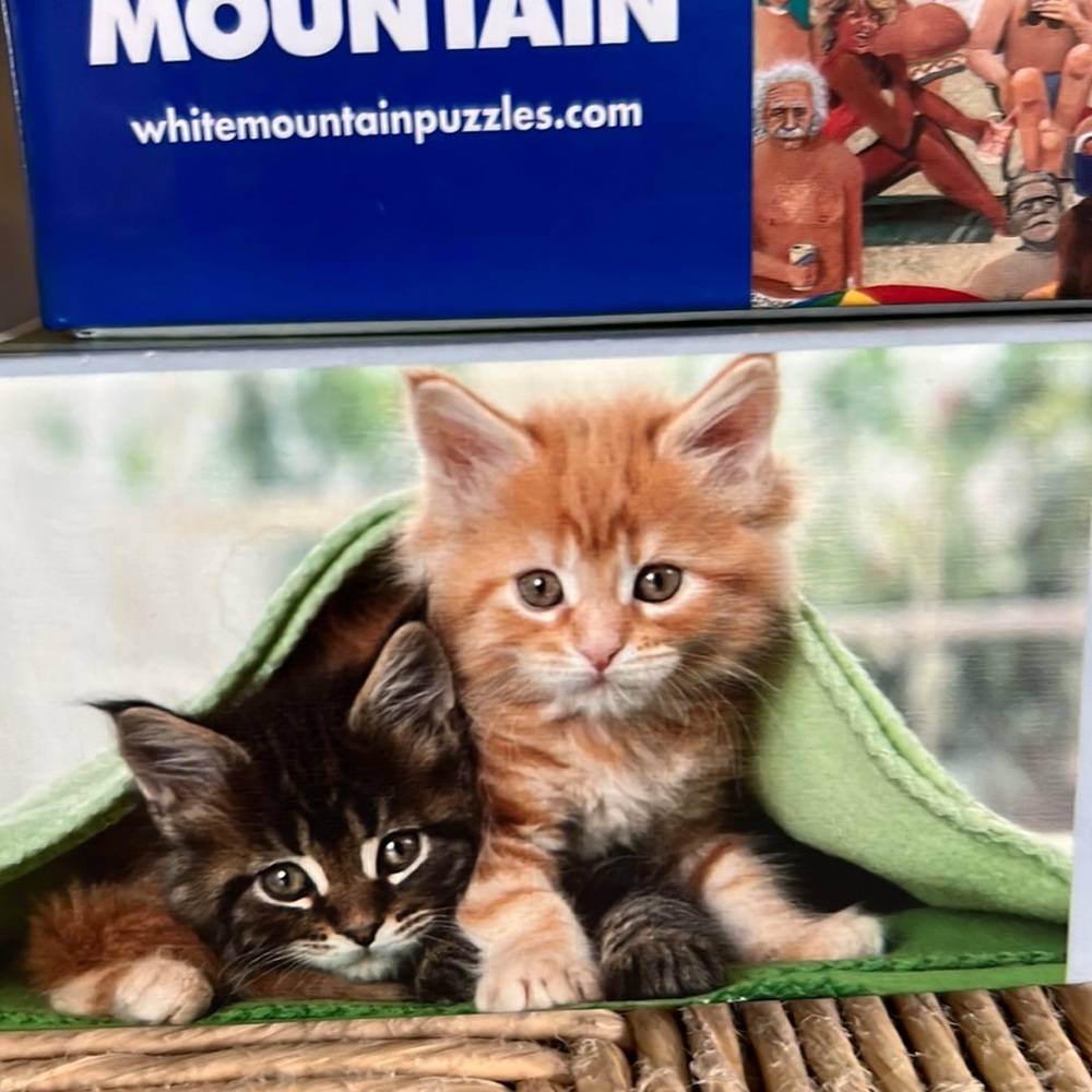 Ravensburger 1500 Pc Puzzle kittens